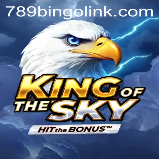 KingOfTheSky: Dive into the Exciting World of 789Bingo.COM