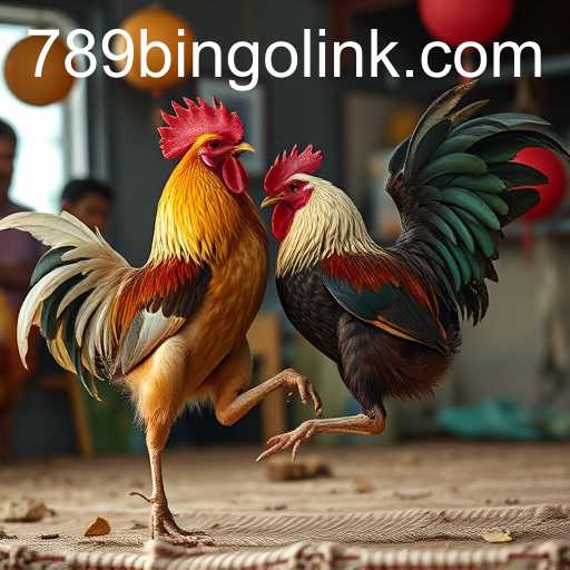Exploring the World of Online Sabong with 789Bingo.COM